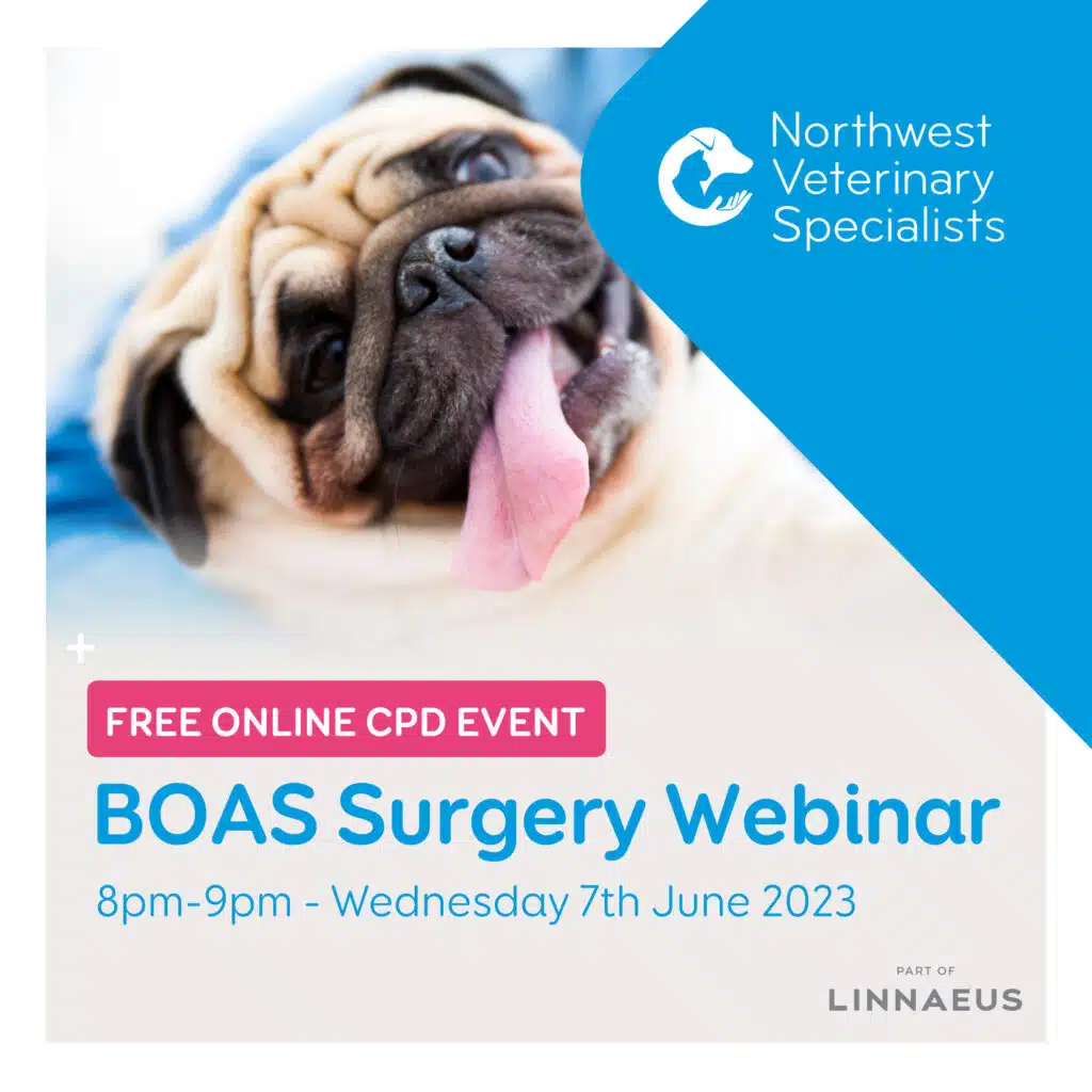 FREE BOAS CPD webinar for veterinary professionals Northwest Specialists
