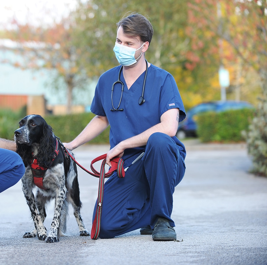 North West Specialists Veterinary Referrals Runcorn Hospital