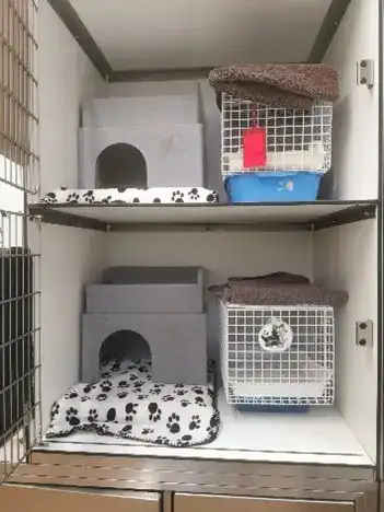 Feline kennels, which can be opened to create more space for your cat