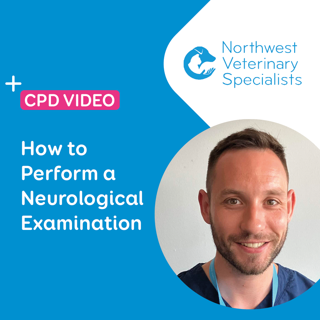 NWSpecialists CPD video - how to perform a neurological examination